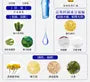 Extra Ampoule Sheet Mask