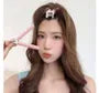 Volumizing Hair Roller Clip