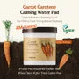 Carrot Carotene Calming Water Pad