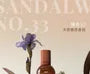 Vendredi Woody Flavor Fragrance - 3 Flavors