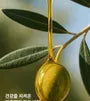Olive Oil & Organic Lemon