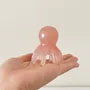 Octopus Resin Head Massager / Set