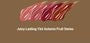Juicy Lasting Tint Autumn Fruit Series - 4 Colors