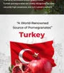 Pomegranate Ultra Low Molecular Collagen Stick