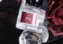 Ascetic Black Rose Eau De Parfum