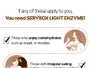 Light Enzyme V2