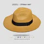 Plain Wide Brimmed Straw Hat
