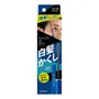 Salon De Pro Men's White Hair Hide Pigment Color