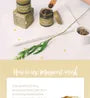 Mugwort Mask Mini 5pcs Bundle Set