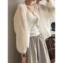 Puff-Sleeve Plain Button-Up Blouse
