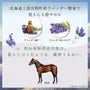 Hokkaido Lavender Roll On