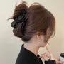 Plain Hair Claw