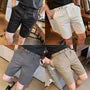 Mid Rise Slim Fit Dress Shorts
