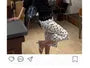 Mid Rise Dotted Wide Leg Jorts