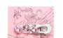Pillow Gem Limited Edition Hair Clip - 2 Type