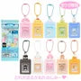 Sanrio Character Secret Miniature Card Holder Bag Charm Type B (Blind Box)