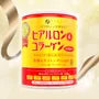 Hyaluron & Collagen + Ubiquinol Q10 Powder Can Type