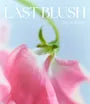 Last Blush 2025 Version - 15 Colors