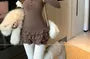 Long-Sleeve Scoop Neck Plain Lace Trim Ruffle Mini Sheath Dress