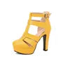 Strappy Platform Chunky Heel Sandals
