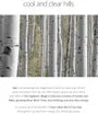 Birch Juice Moisturizing Sunscreen