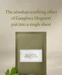 Mugwort Sheet Mask Set 2pcs Bundle Set