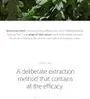 Mugwort Calming Cleanser