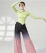 Long-Sleeve Mock Neck Plain Asymmetrical Dance Top