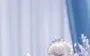 Shell's Jewel Hair Clip - 2 Colors