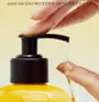 Perfumed Hair Shampoo - 3 Types