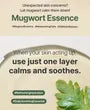 Mugwort Essence
