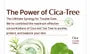 Cica-Tree Soothing Daily Sun Fluid