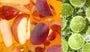 ACV Jelly - 3 Types