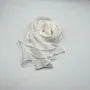 Plain Mesh Scarf