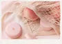 Peach Cotton Multi Finish Powder