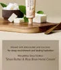 Shea Butter & Rice Bran Hand Cream