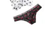 Dotted Sheer Briefs