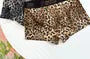 Leopard Print Trunk / Set