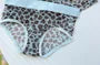 Couple Matching Set: Leopard Print Mesh Panty + Boxer Brief