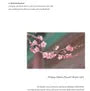 Apricot Blossom Peeling Gel
