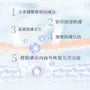 Firming & Anti-Wrinkle Moisturizing Neck Mask