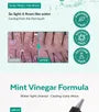 Mint Scalp Hair Vinegar
