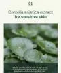 Calming Moisture Barrier Cream