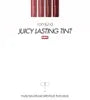 Juicy Lasting Tint 2020 F/W Series - 4 Colors