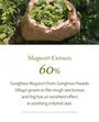 Mugwort Gel Cleanser Mini