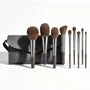 Set Of 10: Makeup Powder Brush + Foundation Brush + Fan Brush + Makeup Pouch