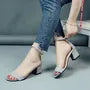 Ankle Strap Chunky Heel Sandals