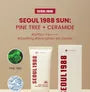 SEOUL 1988 Sun : Pine Tree + Ceramide