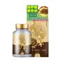 Ginseng Cordyceps CS-4