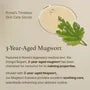 Mugwort Essence Mini 10pcs Bundle Set